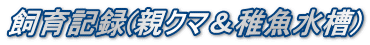 L^(eN}t)